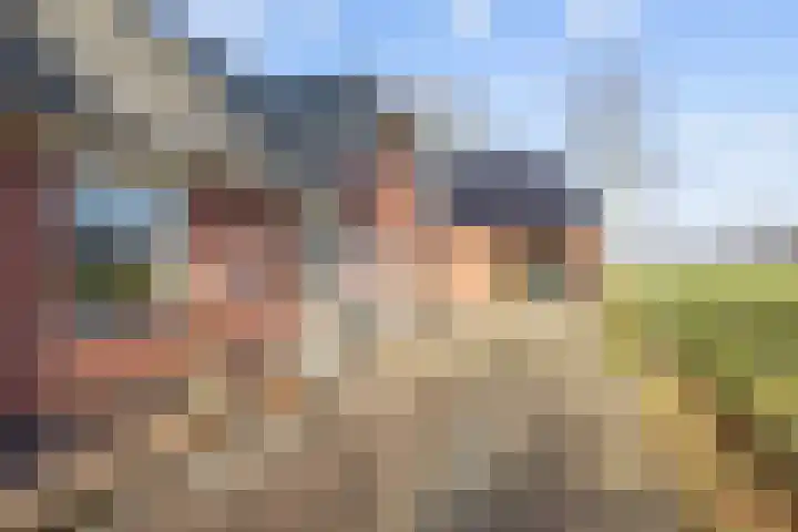 Uthôf 4 Siegerswoude thumbnail 10