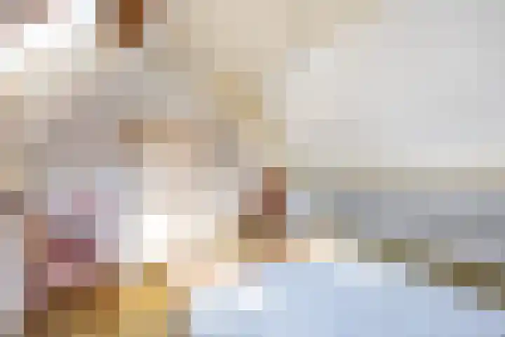 Uthôf 4 Siegerswoude thumbnail 31
