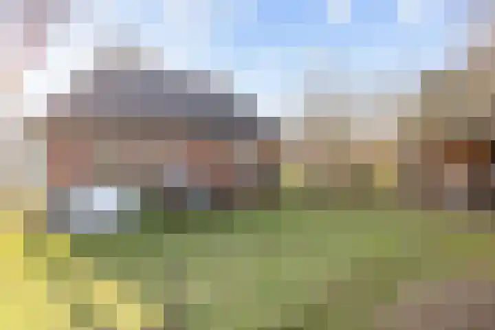 Uthôf 4 Siegerswoude thumbnail 38