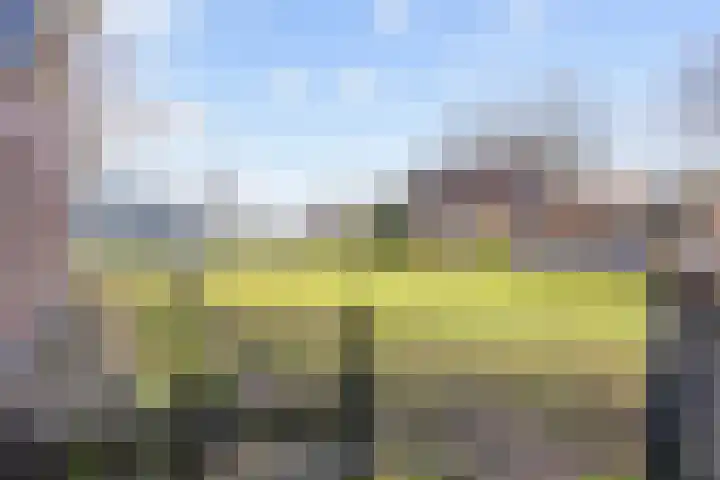 Uthôf 4 Siegerswoude thumbnail 40