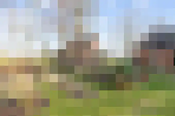 Uthôf 4 Siegerswoude thumbnail 41