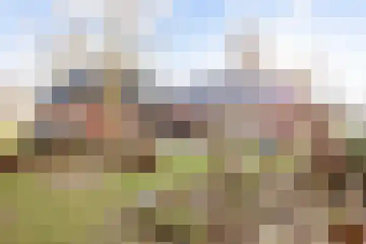 Uthôf 4 Siegerswoude thumbnail 43