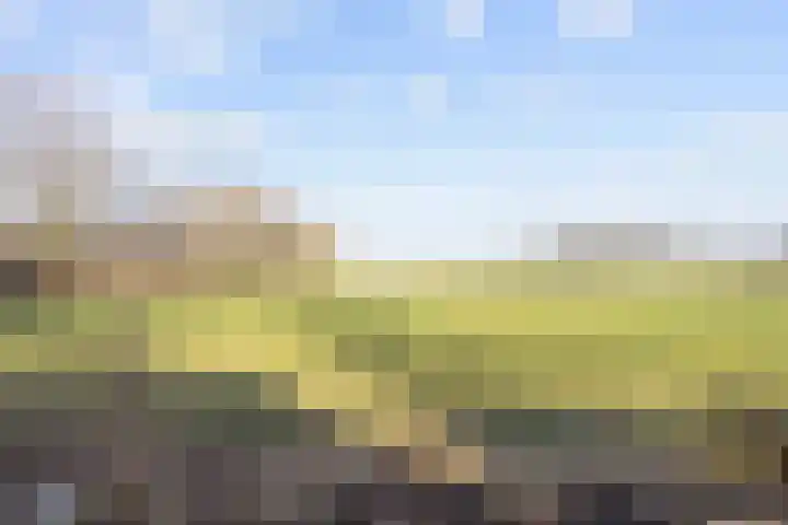 Uthôf 4 Siegerswoude thumbnail 45