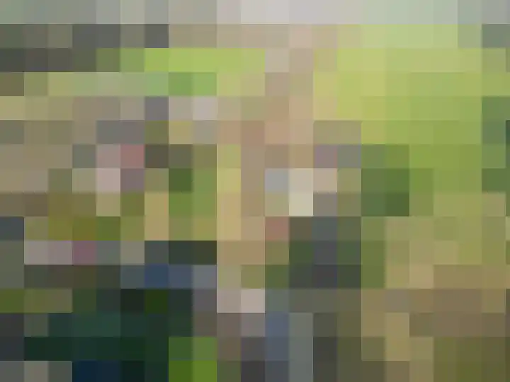 Uthôf 4 Siegerswoude thumbnail 6