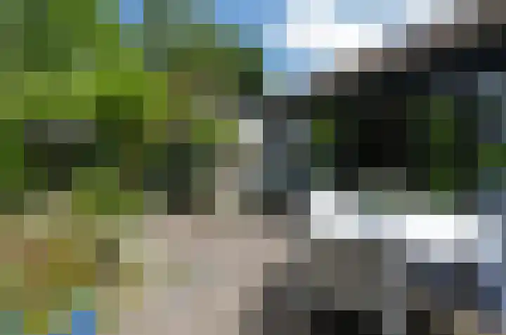 Uutlangen 30 Westerbork thumbnail 27