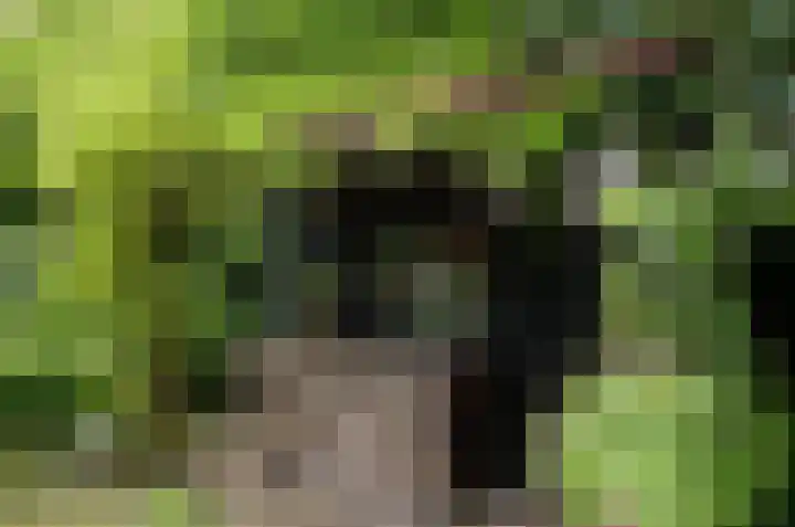 Uutlangen 30 Westerbork thumbnail 30