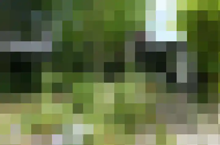 Uutlangen 30 Westerbork thumbnail 31