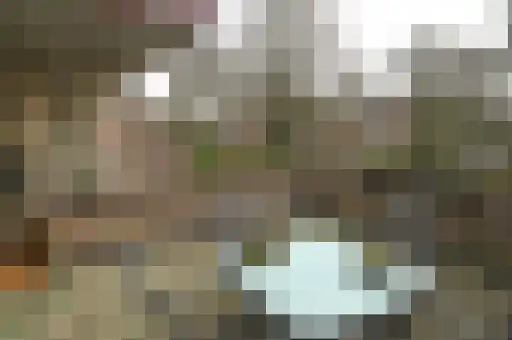 Uytenbosch 17 Baarn thumbnail 21