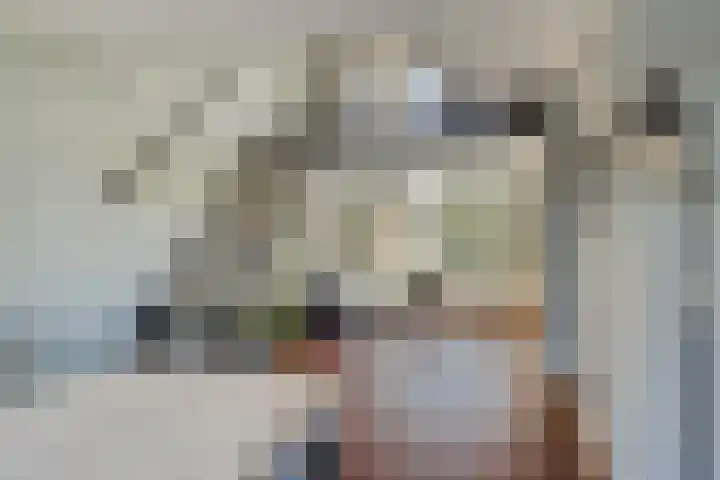 Vaanakker 35 Mierlo thumbnail 14