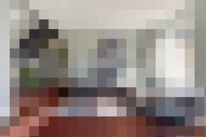 Vaanakker 35 Mierlo thumbnail 15