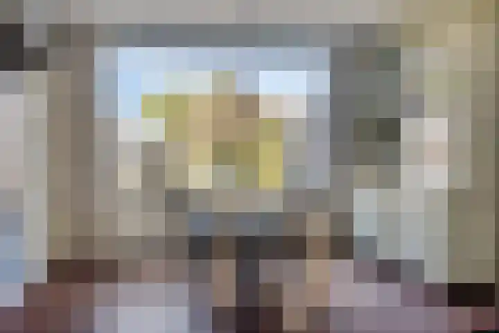 Vaanakker 35 Mierlo thumbnail 18