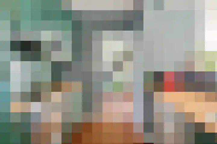 Vaanakker 35 Mierlo thumbnail 20