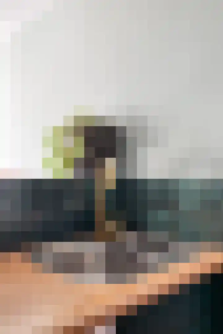 Vaanakker 35 Mierlo thumbnail 21