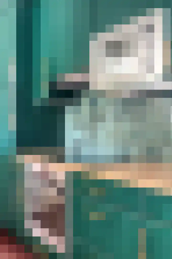 Vaanakker 35 Mierlo thumbnail 22