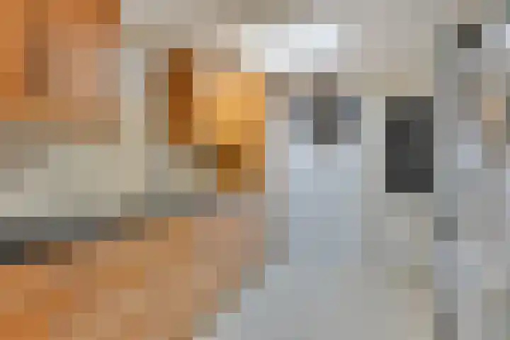 Vaanakker 35 Mierlo thumbnail 24