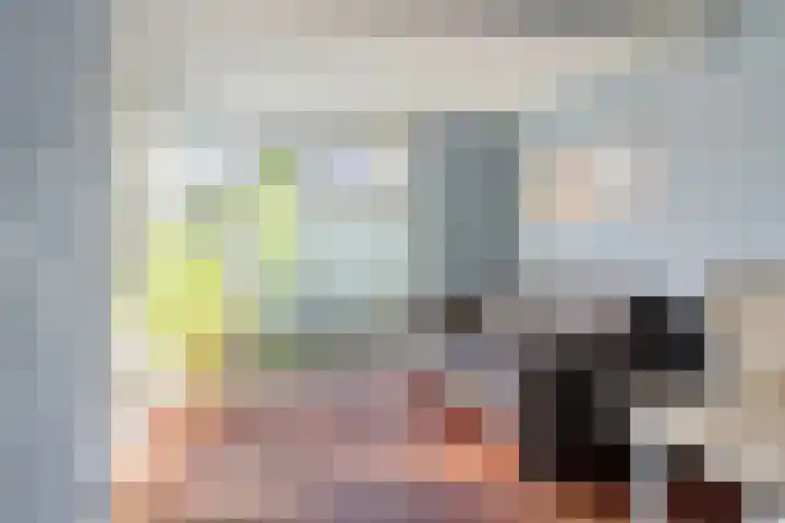 Vaanakker 35 Mierlo thumbnail 25