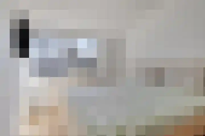 Vaanakker 35 Mierlo thumbnail 30