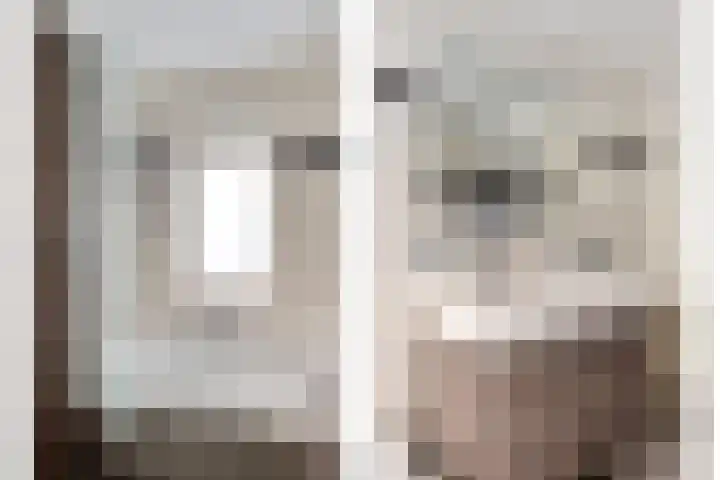Vaanakker 35 Mierlo thumbnail 34