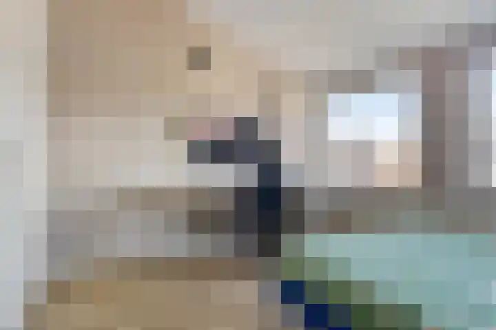 Vaanakker 35 Mierlo thumbnail 36
