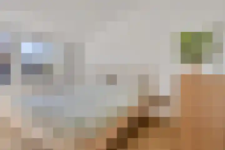 Vaanakker 35 Mierlo thumbnail 4