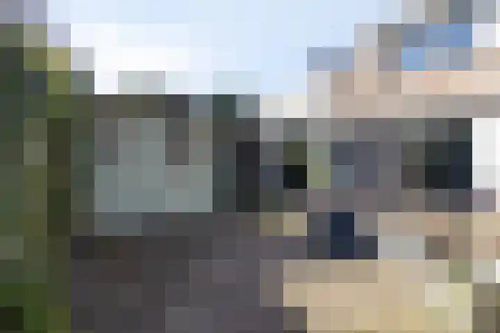 Vaanakker 35 Mierlo thumbnail 41