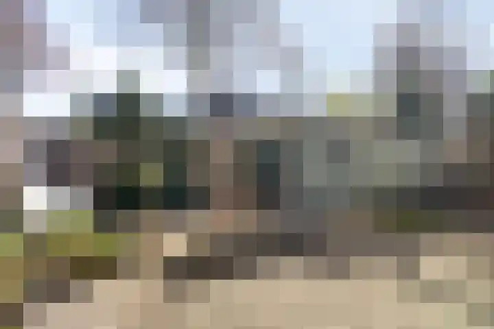 Vaanakker 35 Mierlo thumbnail 42