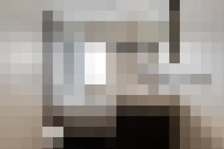 Vaanakker 35 Mierlo thumbnail 5