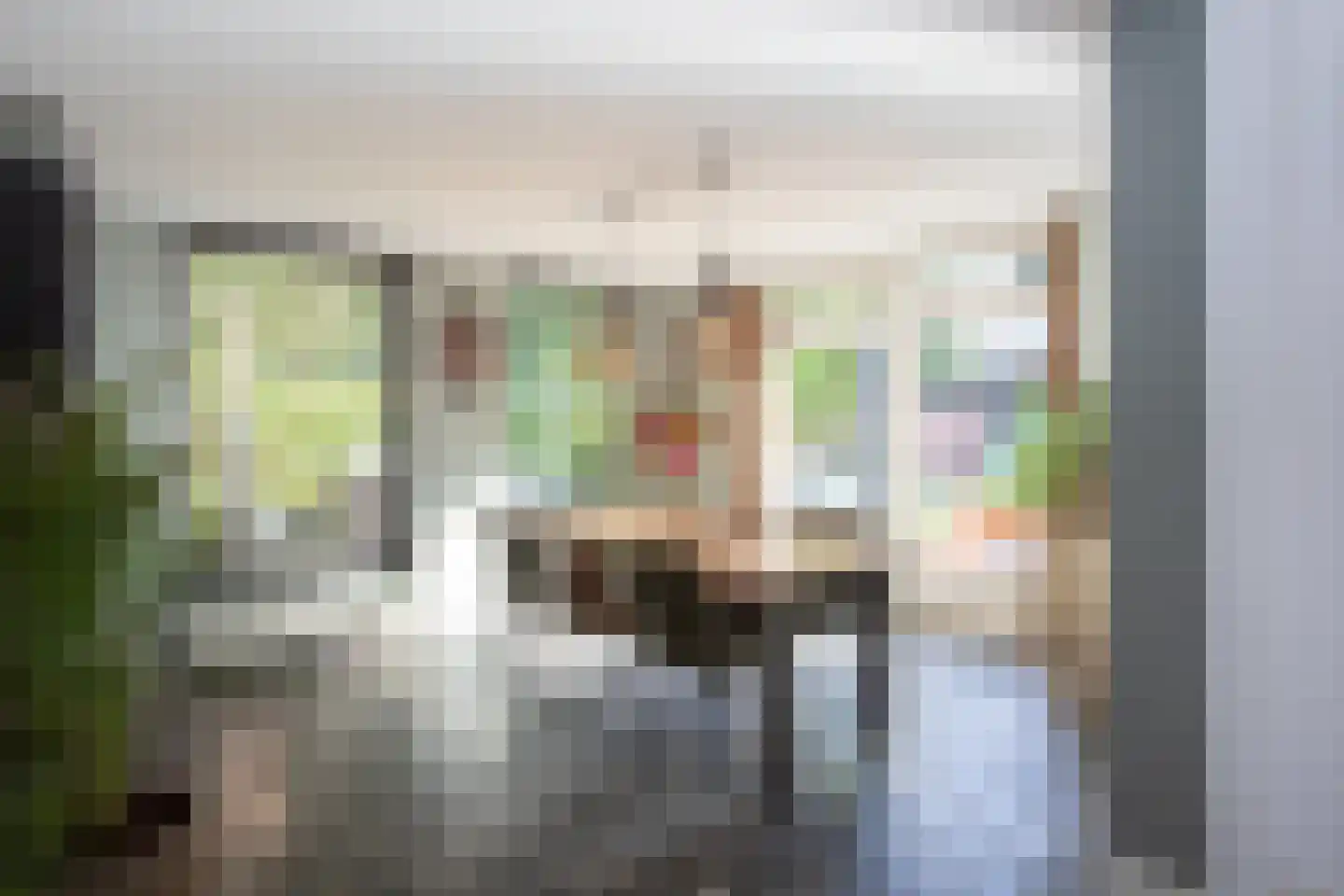 Vaandelruiter 14 Bergeijk thumbnail 16