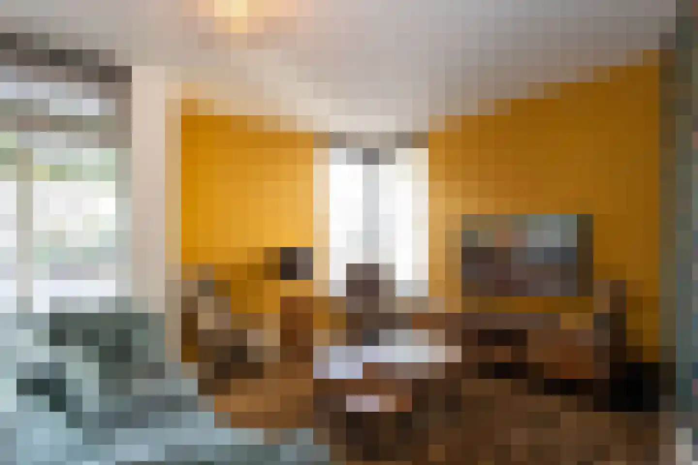Vaandelruiter 14 Bergeijk thumbnail 5