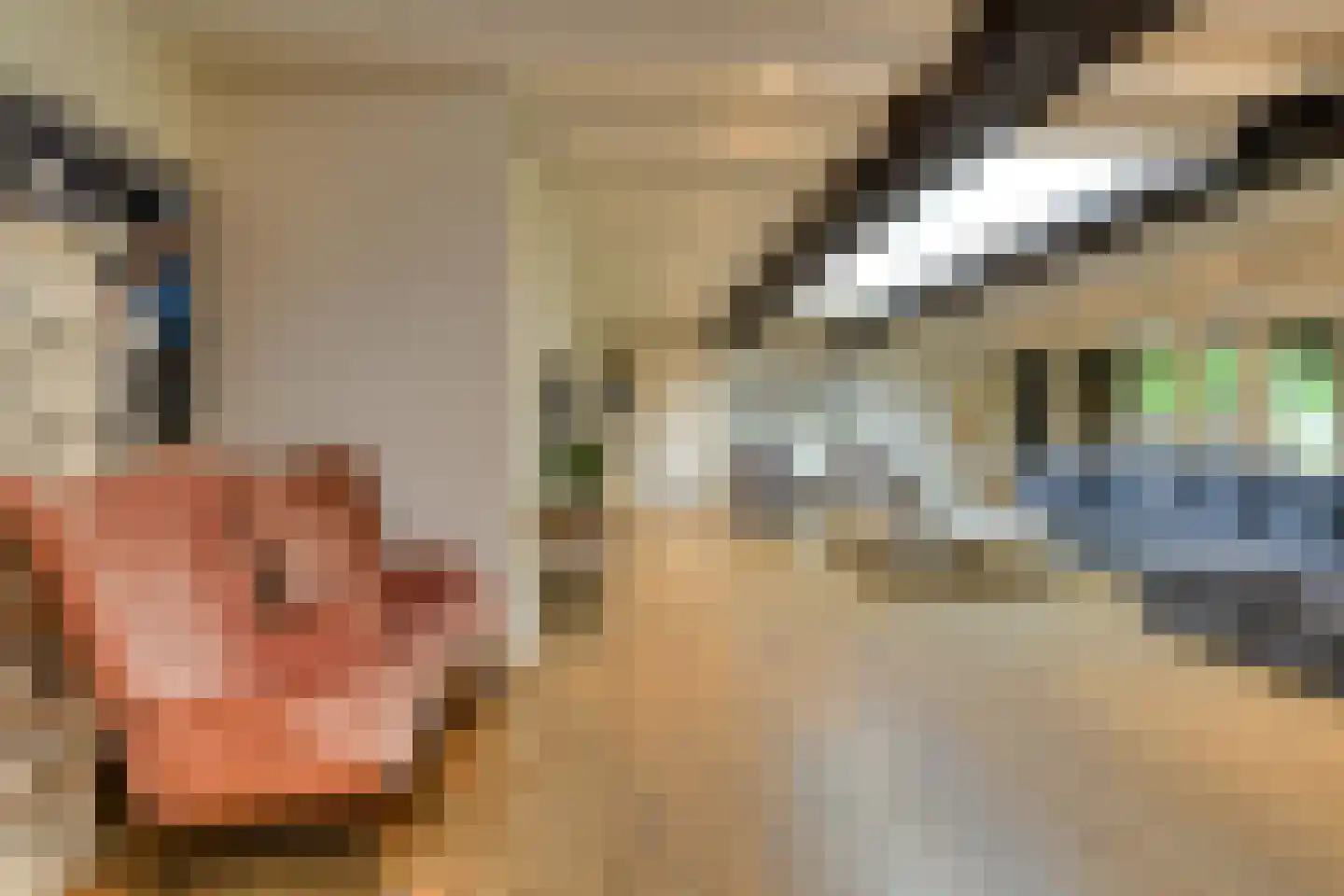 Vaareindseweg 65 Breda thumbnail 12