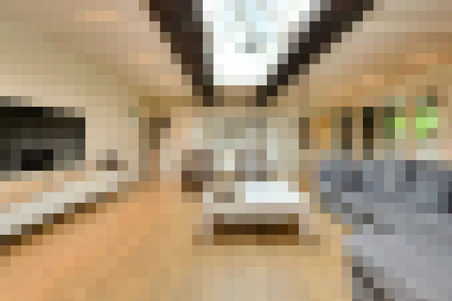 Vaareindseweg 65 Breda thumbnail 13