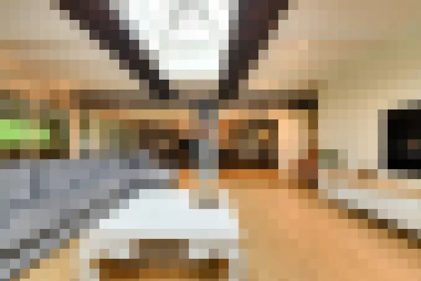 Vaareindseweg 65 Breda thumbnail 15