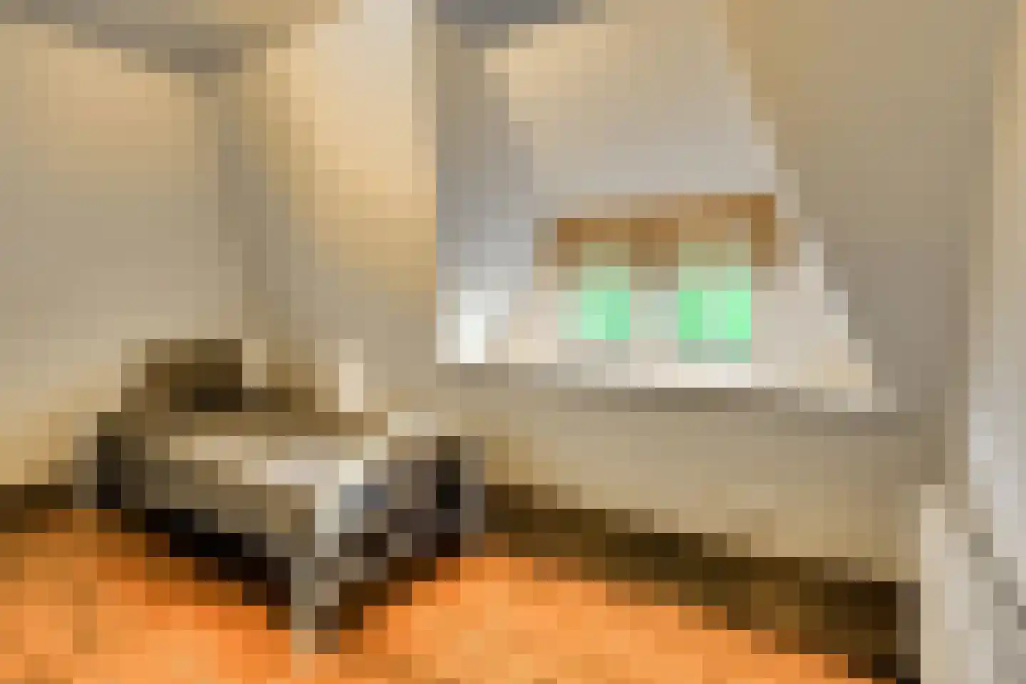 Vaareindseweg 65 Breda thumbnail 33