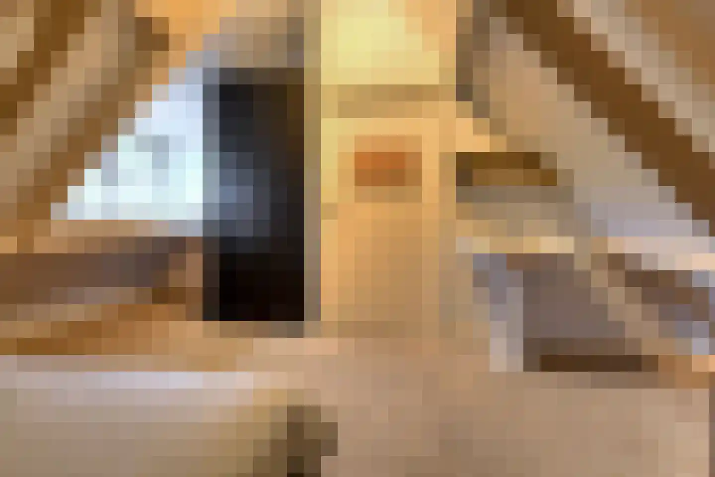 Vaareindseweg 65 Breda thumbnail 35