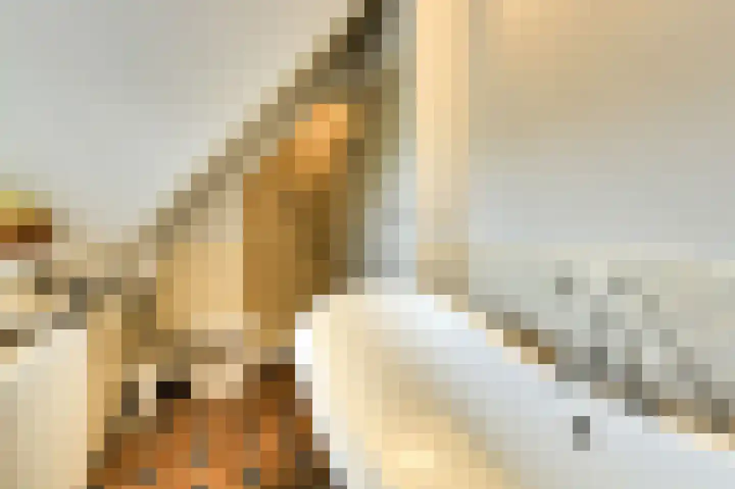 Vaareindseweg 65 Breda thumbnail 38