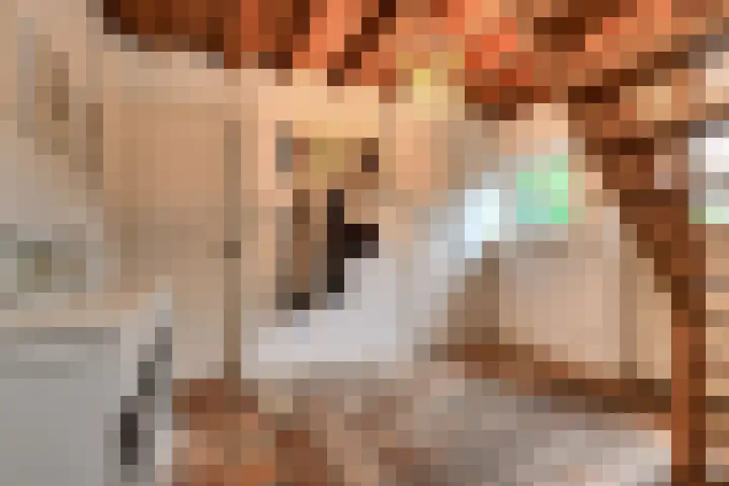 Vaareindseweg 65 Breda thumbnail 5