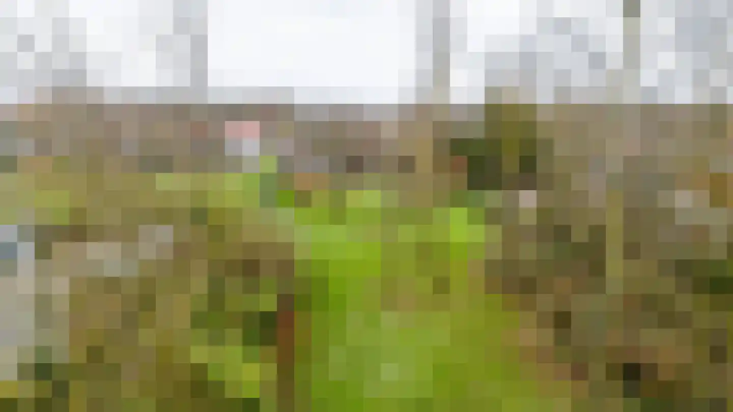 Vaareindseweg 65 Breda thumbnail 51