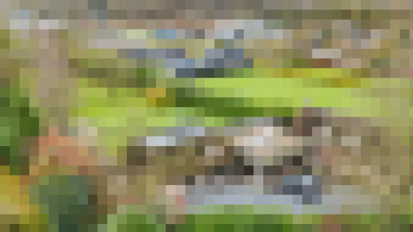 Vaareindseweg 65 Breda thumbnail 53