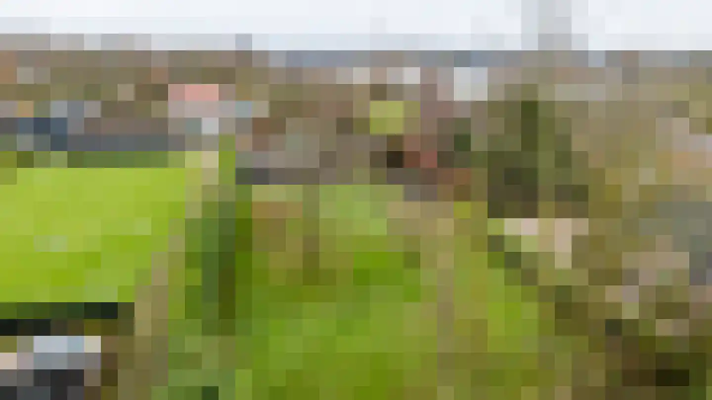 Vaareindseweg 65 Breda thumbnail 58