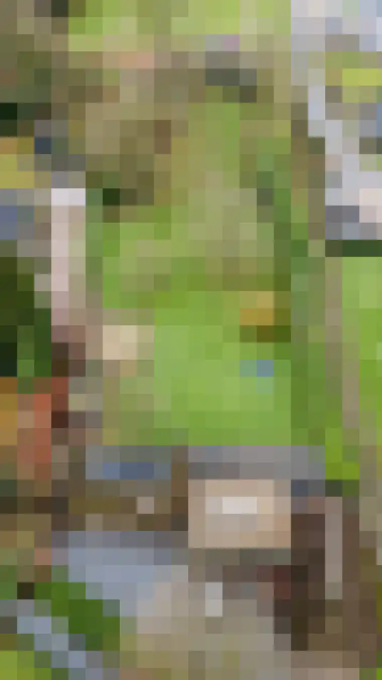 Vaareindseweg 65 Breda thumbnail 61