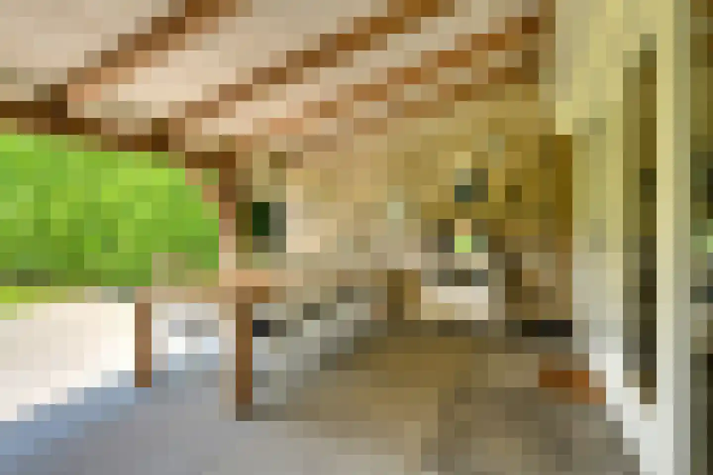 Vaareindseweg 65 Breda thumbnail 65