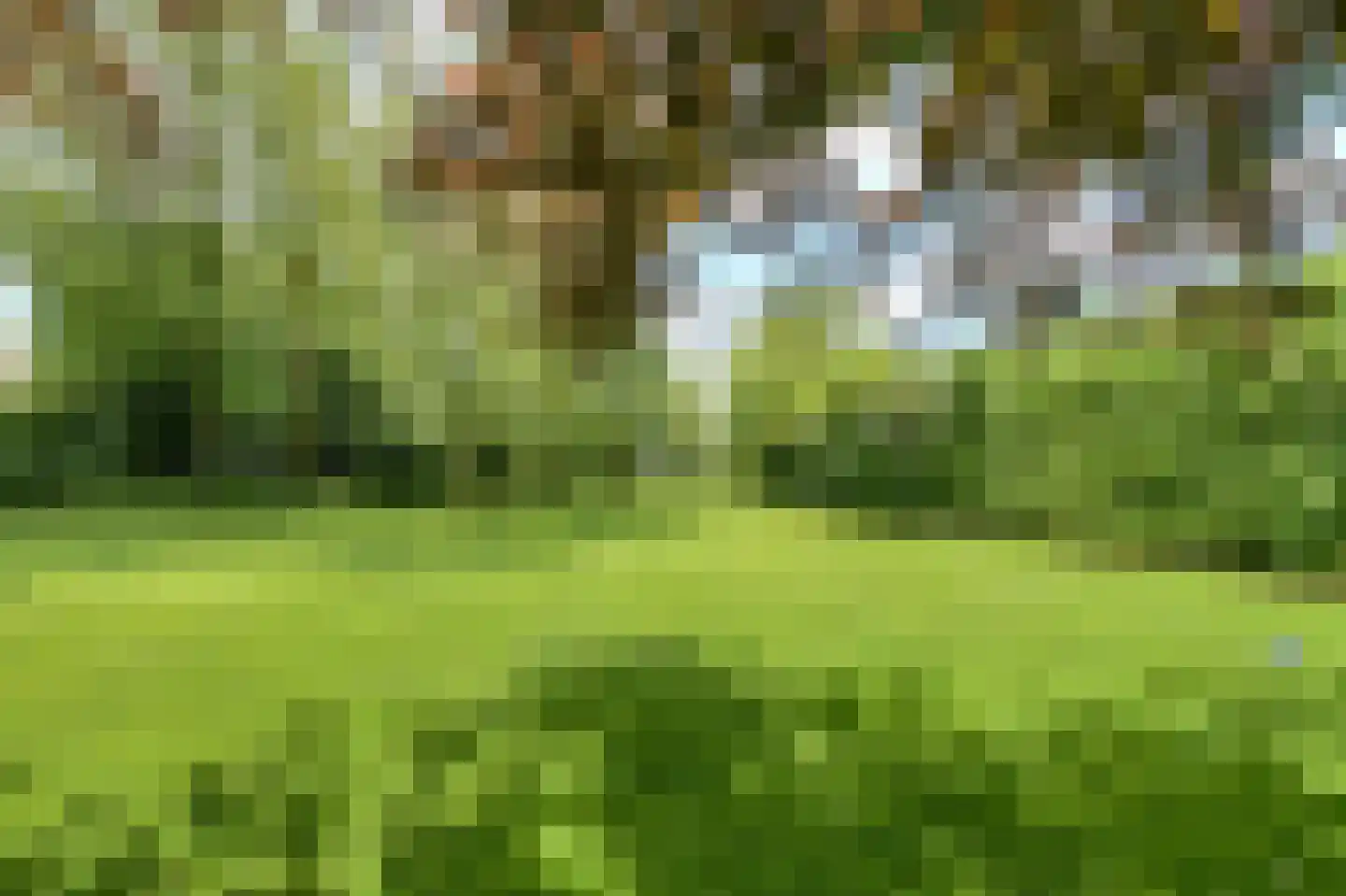 Vaareindseweg 65 Breda thumbnail 67
