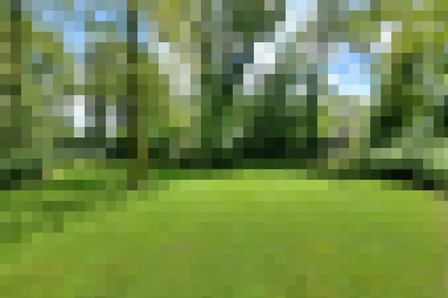Vaareindseweg 65 Breda thumbnail 70