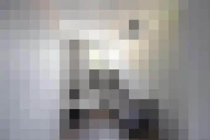 Vaargeul 20 Groningen thumbnail 23