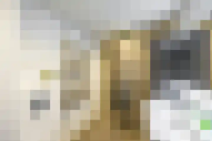Vaargeul 20 Groningen thumbnail 25