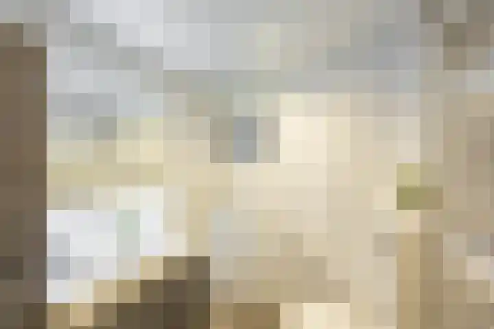 Vaargeul 20 Groningen thumbnail 4