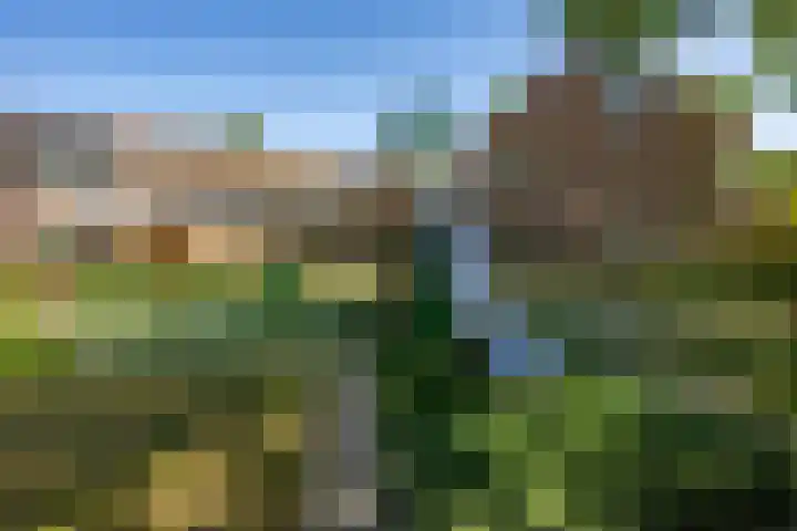 Vaargeul 20 Groningen thumbnail 43
