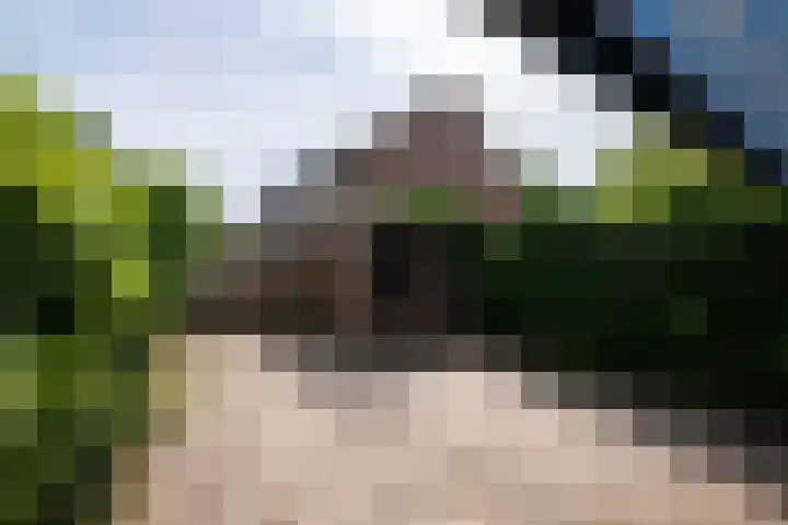 Vaargeul 298 Hellevoetsluis thumbnail 23