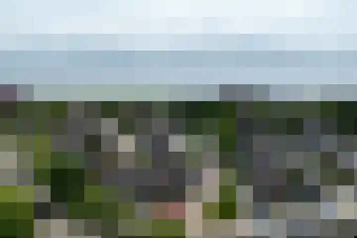 Vaargeul 298 Hellevoetsluis thumbnail 39