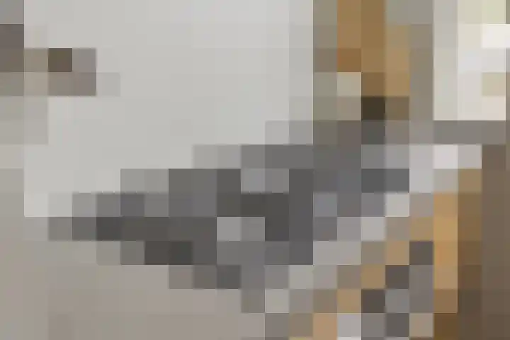 Vaarkamperhof 5 Lunteren thumbnail 13
